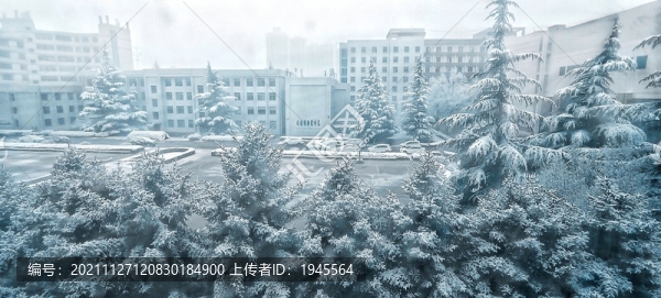 初雪