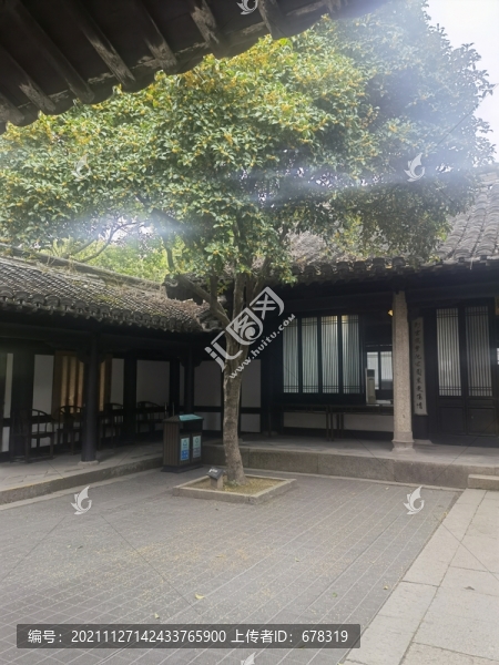 沈園
