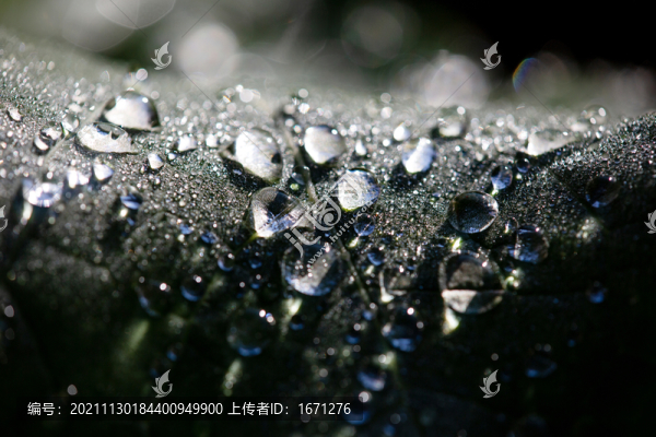 水珠