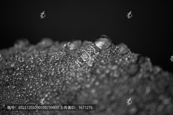 水珠