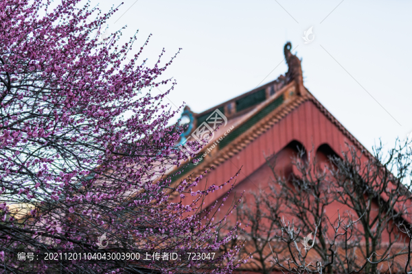 杭州法喜寺