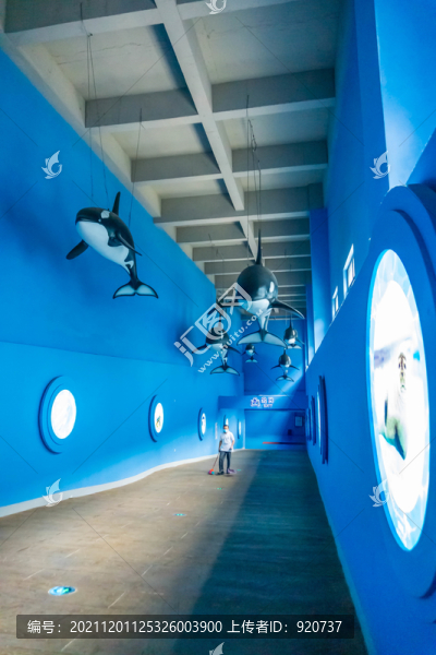 海洋館通道