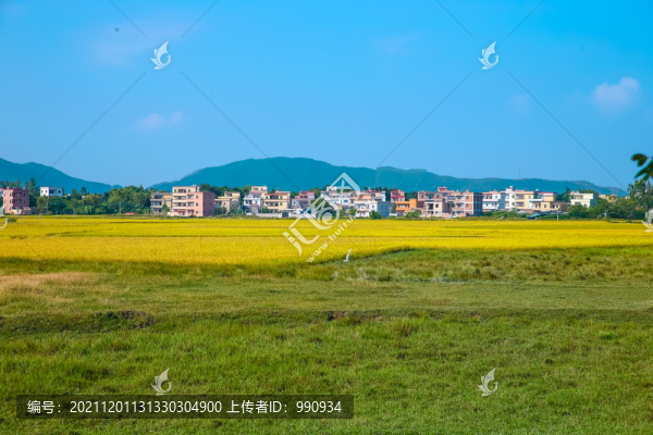 鄉(xiāng)村秋色