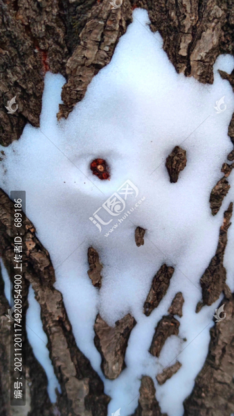樹上雪人