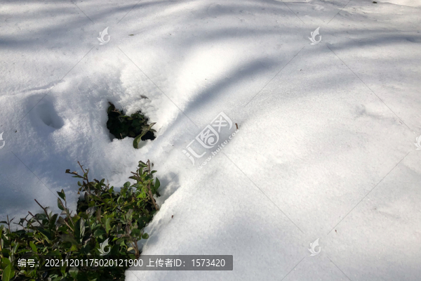 雪