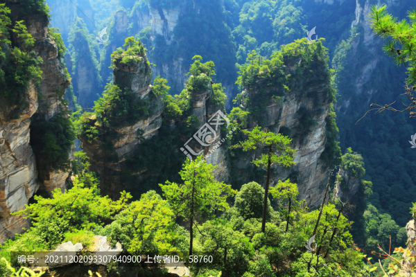 張家界砂巖峰林地質景觀