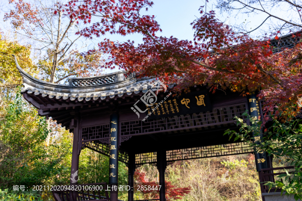 棲霞山紅葉