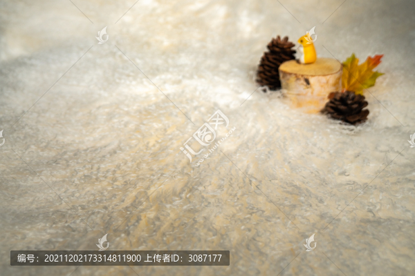 羊毛皮