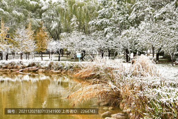 河北省石家莊裕華區(qū)東環(huán)公園雪景