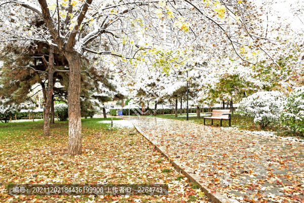 河北省石家莊裕華區(qū)東環(huán)公園雪景