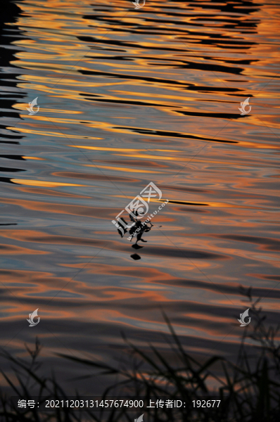 江邊夕陽(yáng)