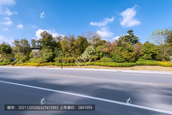 秋天中國揚(yáng)州城市樹林道路背景