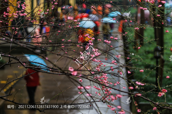 杭州靈隱寺