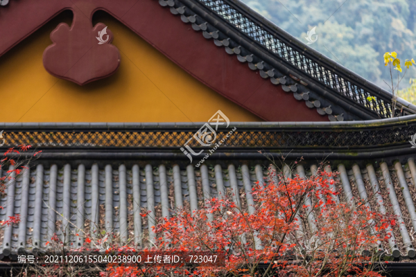 杭州永福寺秋色
