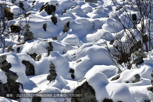 白雪皚皚