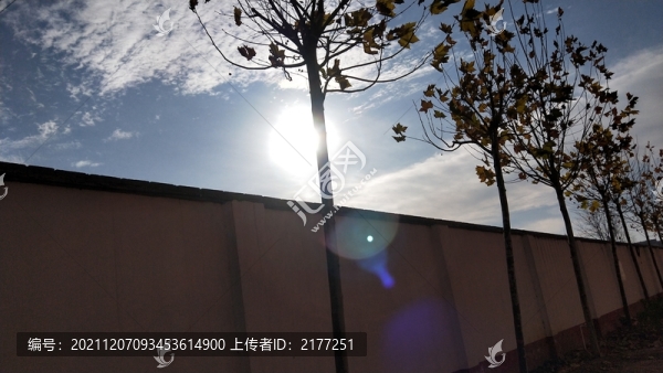 追風