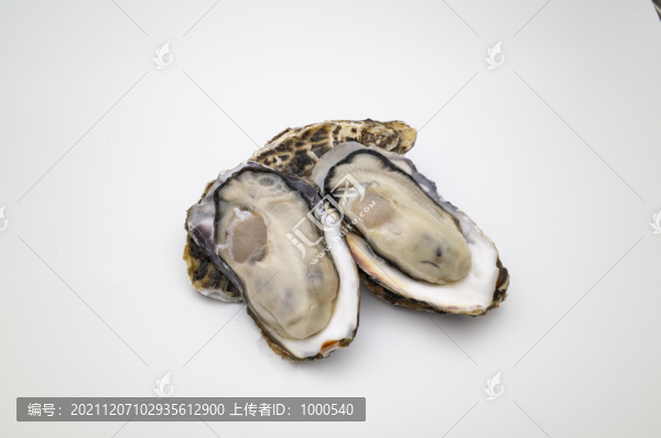 剝扒開(kāi)的海蠣子