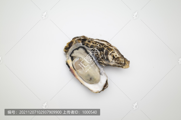 牡蠣