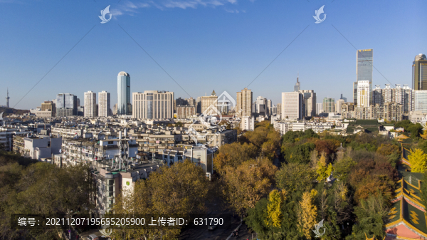 城市樓群