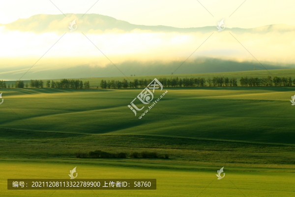 綠色農(nóng)田晨霧