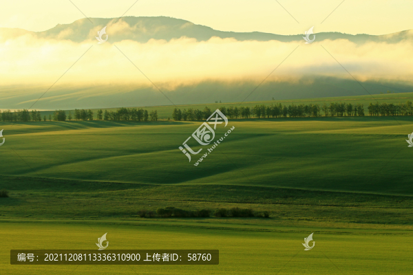 墾區(qū)綠色農(nóng)田晨霧