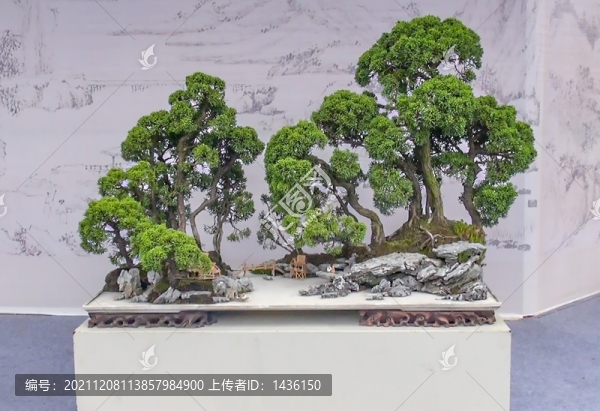 創(chuàng)意盆景藝術(shù)