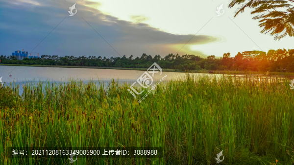 濕地公園