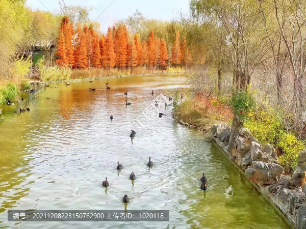 秋天的湖景公園