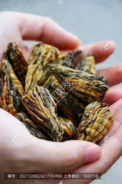 滇紅寶塔茶葉特寫