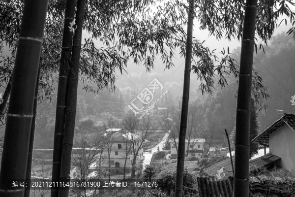 竹林人家