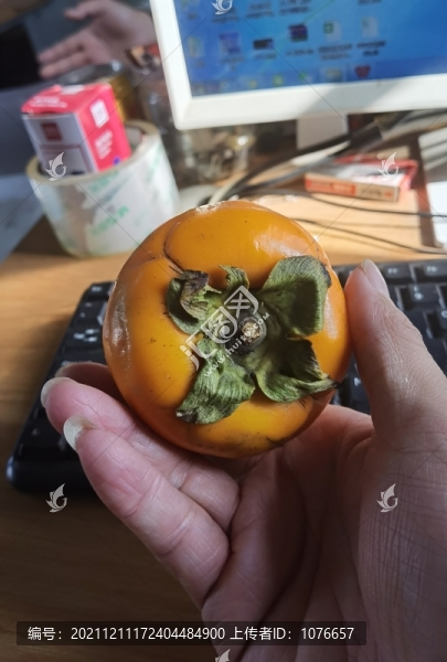 媽媽給的柿子特寫