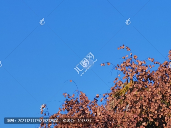 藍天白云
