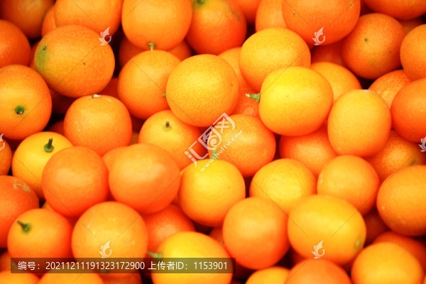 金桔