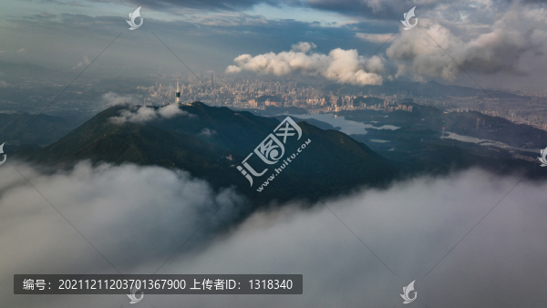 深圳八景之梧桐煙云