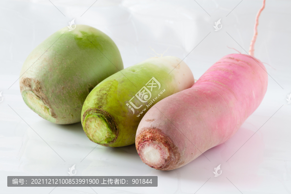 白背景上的蘿卜