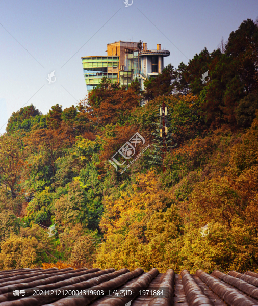 重慶一棵樹觀景臺