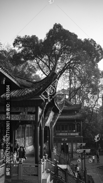 重慶老君洞風景