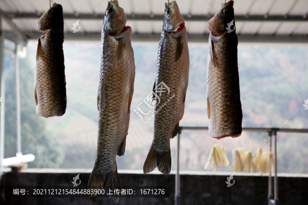 曬咸魚(yú)