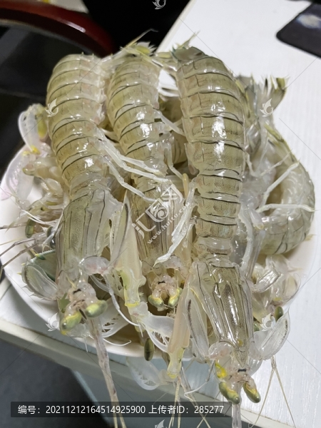 皮皮蝦