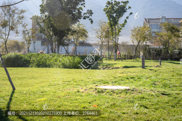 陽(yáng)光下的草坪草地