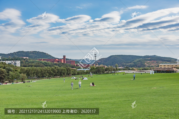 白云草地