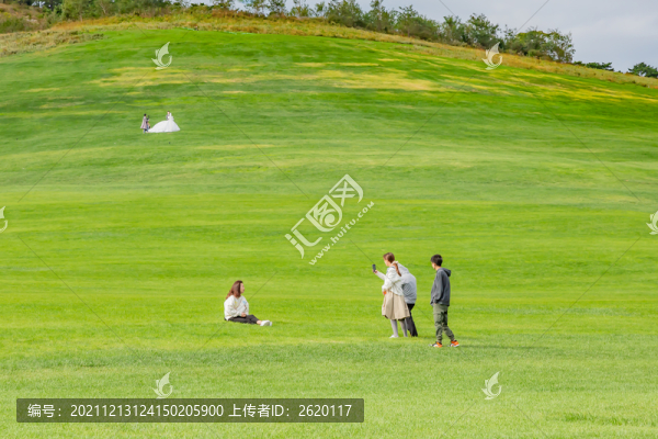 草地