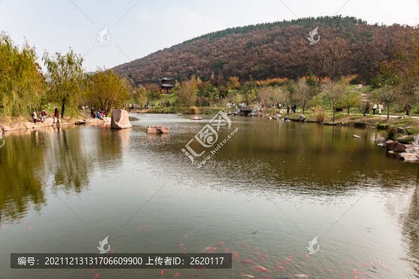 秋景