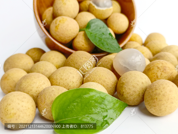 綠葉桂圓圖片