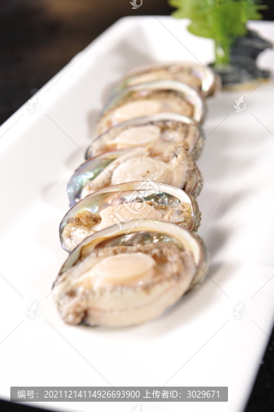 鮑魚