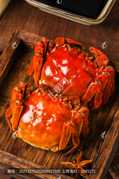 河蟹