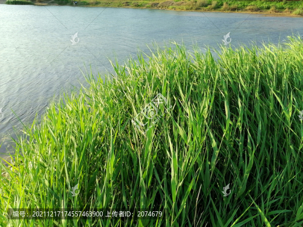 滹沱河生態(tài)區(qū)