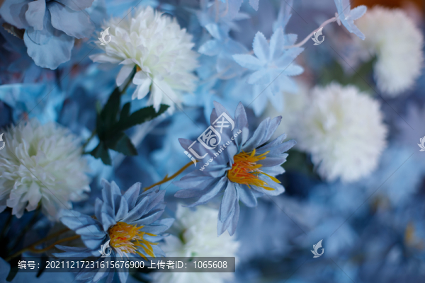 藍色婚禮現(xiàn)場