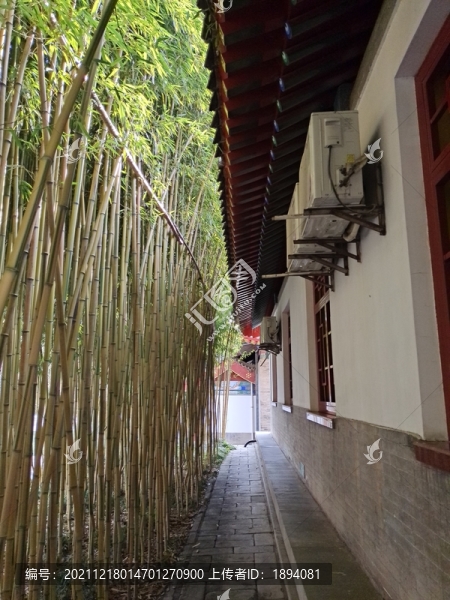 古建