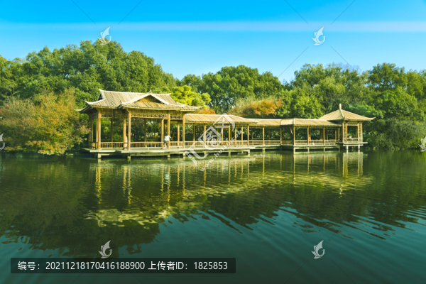 杭州西湖小南湖花港觀魚